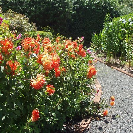 Boat Harbour Garden Cottages Exteriör bild