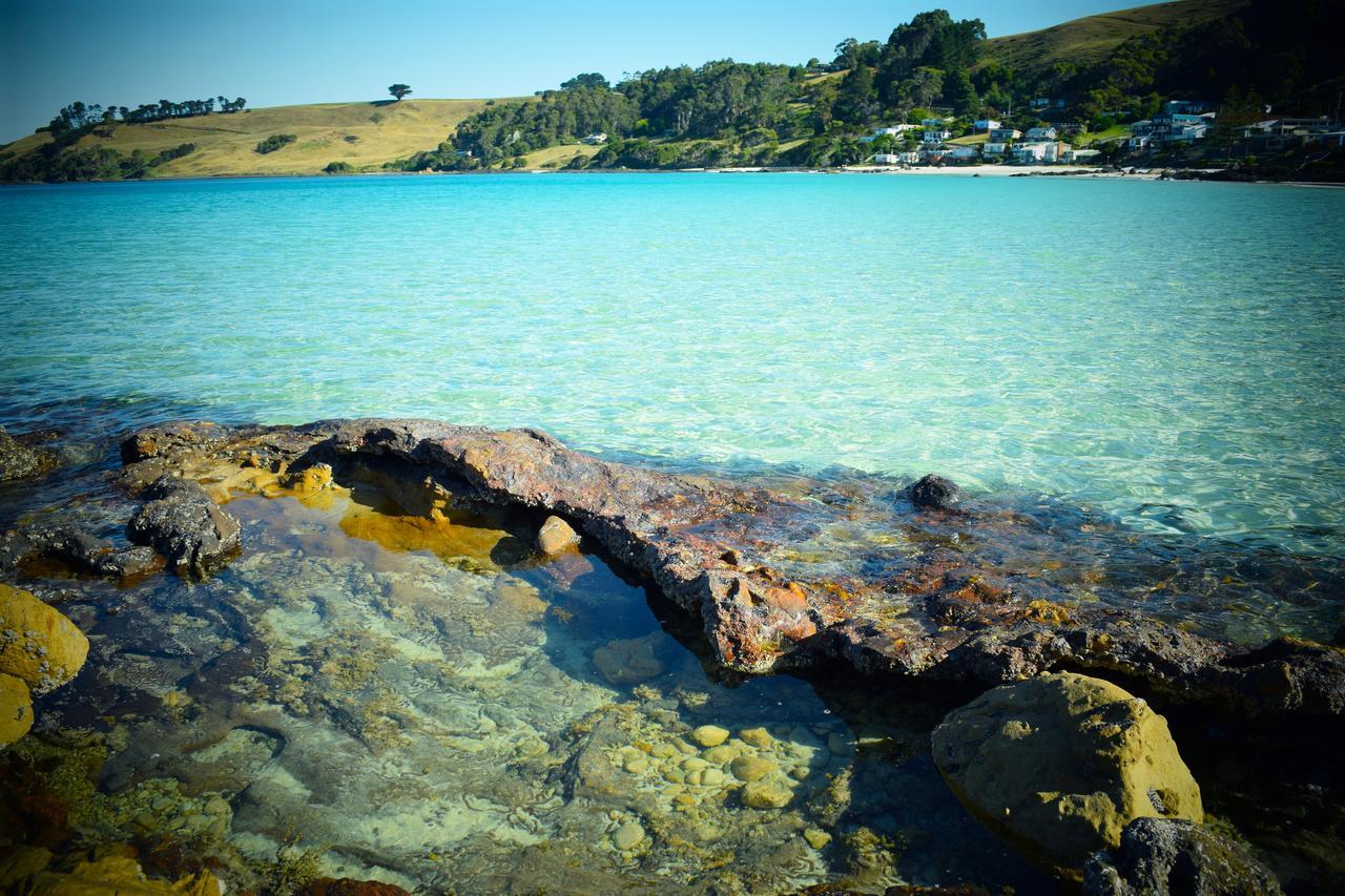 Boat Harbour Garden Cottages Exteriör bild