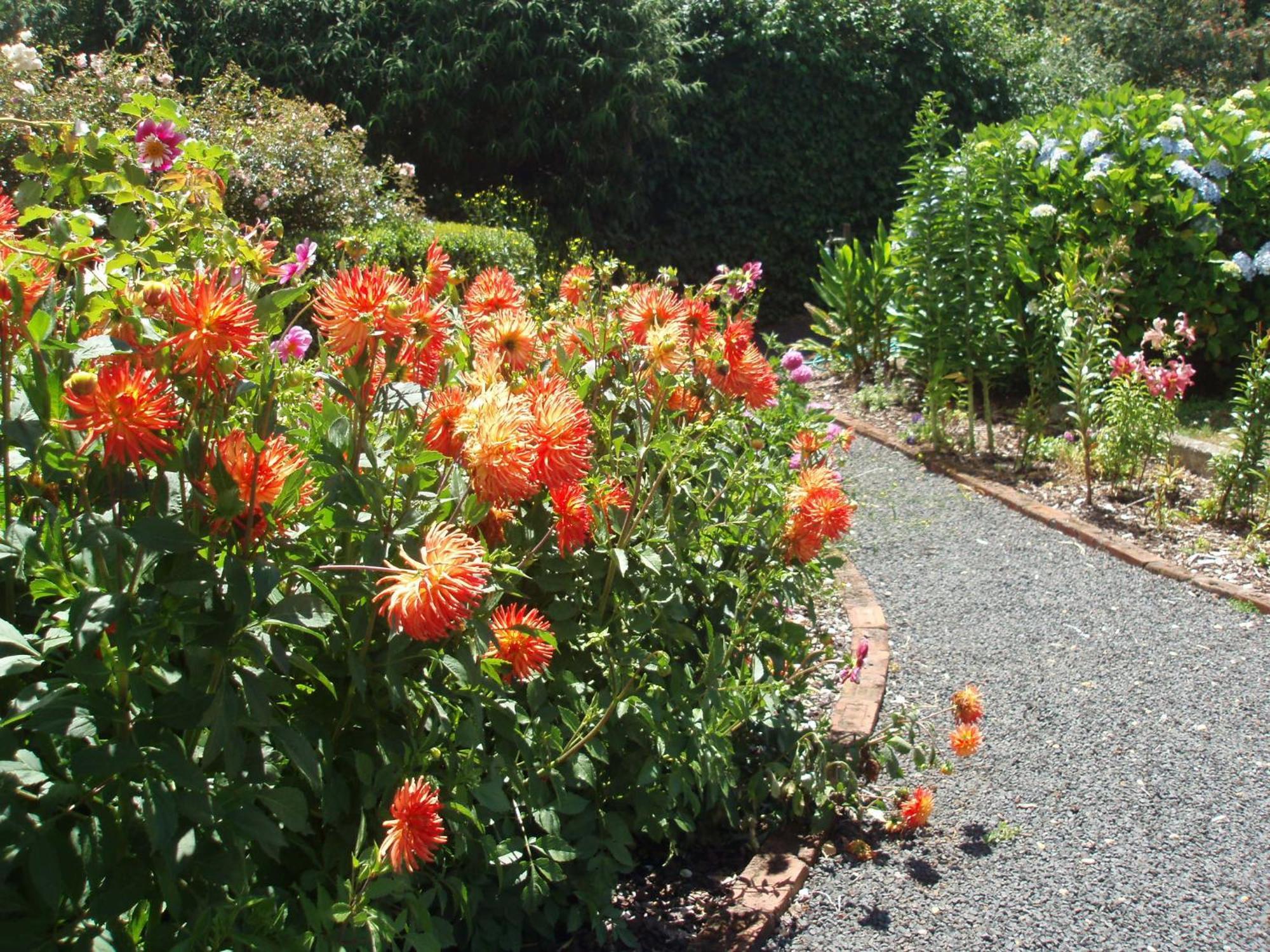 Boat Harbour Garden Cottages Exteriör bild
